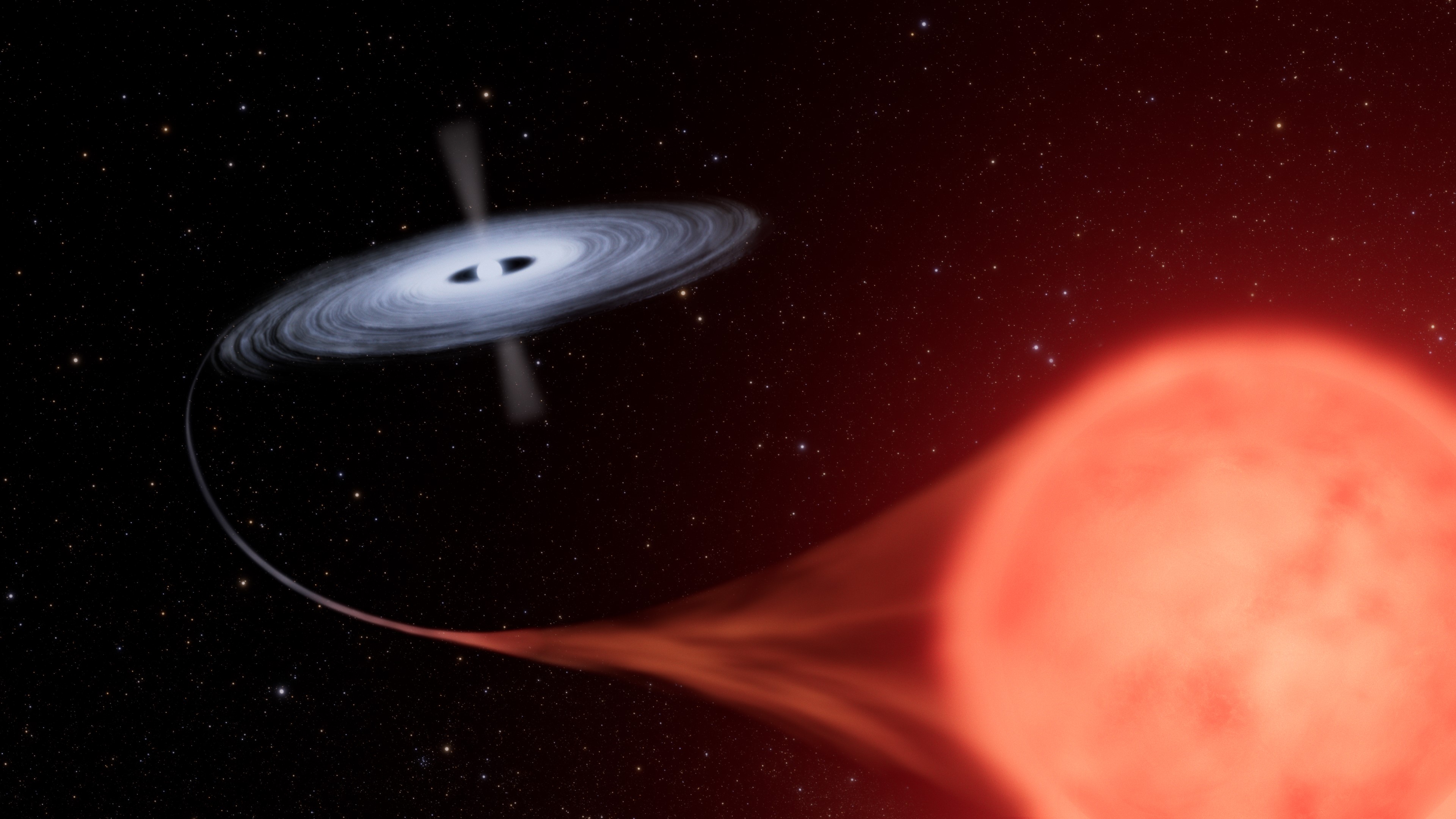 Artist's concept of the binary star system HM Sge on the black background of space sprinkled with various sizes of red and white points of light. At the top of the image, a blazing hot white disk surrounds a white dwarf star that is pulling a stream of material from its red giant companion, the glowing mottled ball at bottom right.