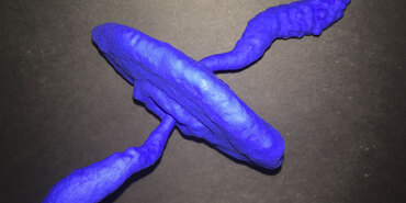 3D printed blue object of x-ray pulsar, ring and jets