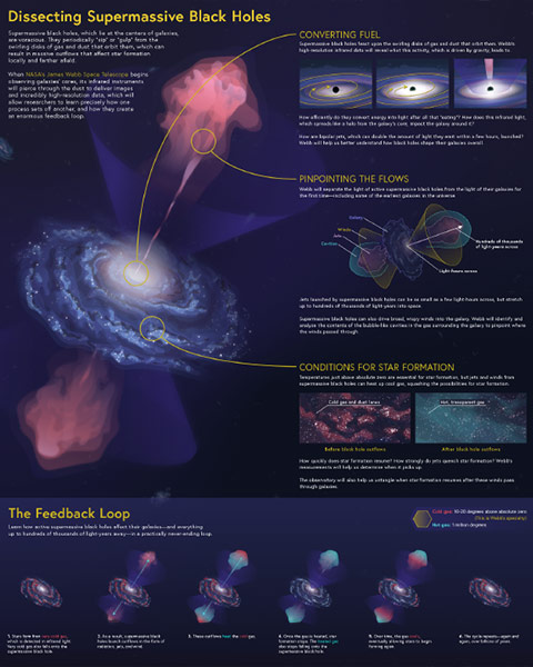 A large-scale infographic, “Dissecting Supermassive Black Holes”; is dominated by a spiral galaxy and its jets on the left-hand side. An introduction follows. At right there are three sections with inset images and supporting text that details: (1) what is happening at the center of the galaxy, (2) what is happening where two jets are launched by its central, active supermassive black hole, and (3) what is happening in regions of star formation in the galaxy. The bottom section, separated by a line, illustrates and captions the feedback loop.